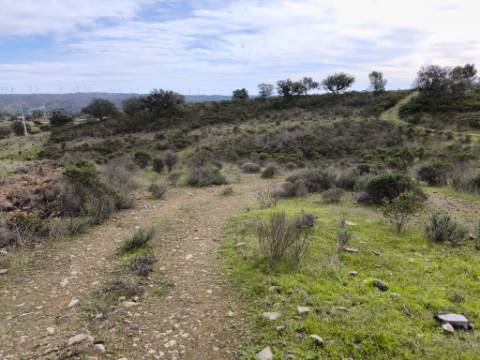 TERRENO COM 55.480 M² - COM POSSIBILIDADE DE CONSTRUÇÃO - HABITAÇÃO - TURISMO RURAL - ODELEITE - CASTRO MARIM - ALGARVE