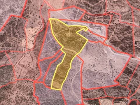 TERRENO COM 55.480 M² - COM POSSIBILIDADE DE CONSTRUÇÃO - HABITAÇÃO - TURISMO RURAL - ODELEITE - CASTRO MARIM - ALGARVE