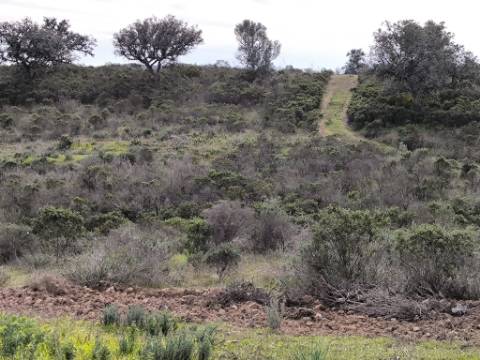 TERRENO COM 55.480 M² - COM POSSIBILIDADE DE CONSTRUÇÃO - HABITAÇÃO - TURISMO RURAL - ODELEITE - CASTRO MARIM - ALGARVE