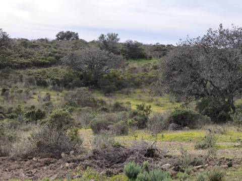 TERRENO COM 55.480 M² - COM POSSIBILIDADE DE CONSTRUÇÃO - HABITAÇÃO - TURISMO RURAL - ODELEITE - CASTRO MARIM - ALGARVE