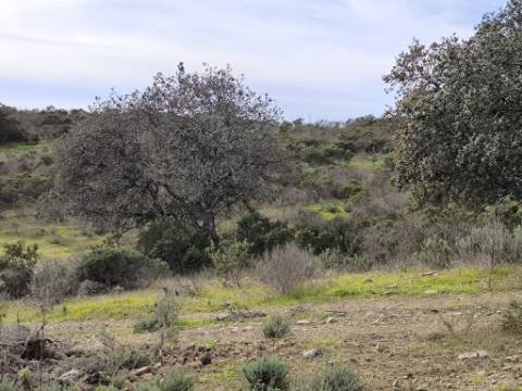 TERRENO COM 55.480 M² - COM POSSIBILIDADE DE CONSTRUÇÃO - HABITAÇÃO - TURISMO RURAL - ODELEITE - CASTRO MARIM - ALGARVE