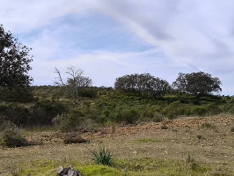 TERRENO COM 55.480 M² - COM POSSIBILIDADE DE CONSTRUÇÃO - HABITAÇÃO - TURISMO RURAL - ODELEITE - CASTRO MARIM - ALGARVE