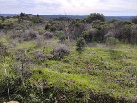 TERRENO COM 55.480 M² - COM POSSIBILIDADE DE CONSTRUÇÃO - HABITAÇÃO - TURISMO RURAL - ODELEITE - CASTRO MARIM - ALGARVE