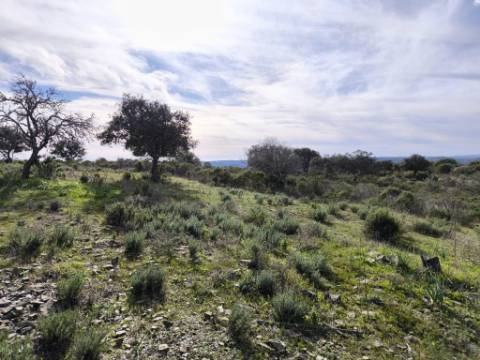 TERRENO RÚSTICO COM 8.880 M² - PLANO - PRÓXIMO À ELETRICIDADE - ODELEITE - CASTRO MARIM - ALGARVE