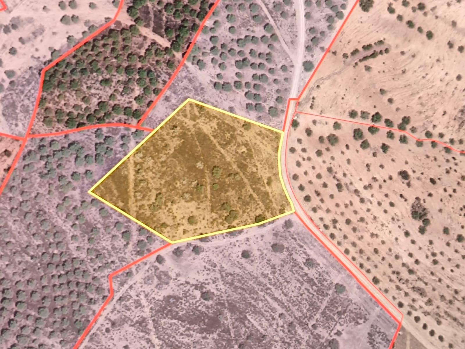 TERRENO RÚSTICO COM 8.880 M² - PLANO - PRÓXIMO À ELETRICIDADE - ODELEITE - CASTRO MARIM - ALGARVE