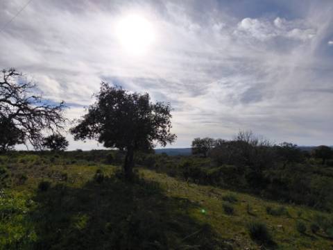 TERRENO RÚSTICO COM 8.880 M² - PLANO - PRÓXIMO À ELETRICIDADE - ODELEITE - CASTRO MARIM - ALGARVE