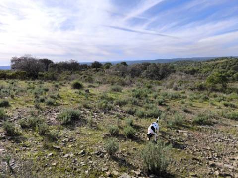 TERRENO RÚSTICO COM 8.880 M² - PLANO - PRÓXIMO À ELETRICIDADE - ODELEITE - CASTRO MARIM - ALGARVE