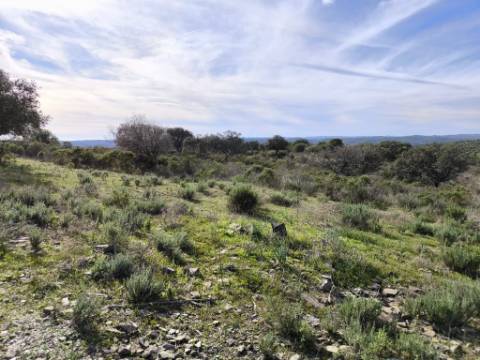 TERRENO RÚSTICO COM 8.880 M² - PLANO - PRÓXIMO À ELETRICIDADE - ODELEITE - CASTRO MARIM - ALGARVE