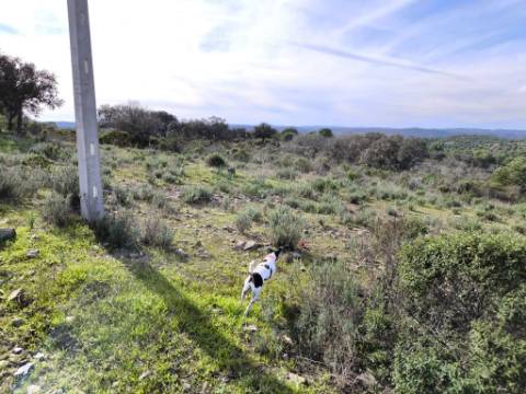 TERRENO RÚSTICO COM 8.880 M² - PLANO - PRÓXIMO À ELETRICIDADE - ODELEITE - CASTRO MARIM - ALGARVE