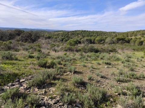 TERRENO RÚSTICO COM 8.880 M² - PLANO - PRÓXIMO À ELETRICIDADE - ODELEITE - CASTRO MARIM - ALGARVE