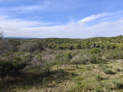 TERRENO RÚSTICO COM 8.880 M² - PLANO - PRÓXIMO À ELETRICIDADE - ODELEITE - CASTRO MARIM - ALGARVE