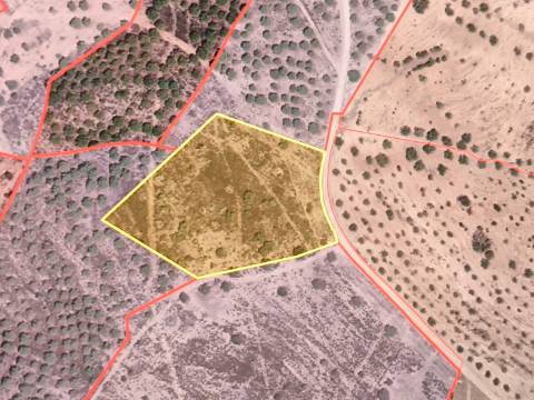 TERRENO RÚSTICO COM 8.880 M² - PLANO - PRÓXIMO À ELETRICIDADE - ODELEITE - CASTRO MARIM - ALGARVE