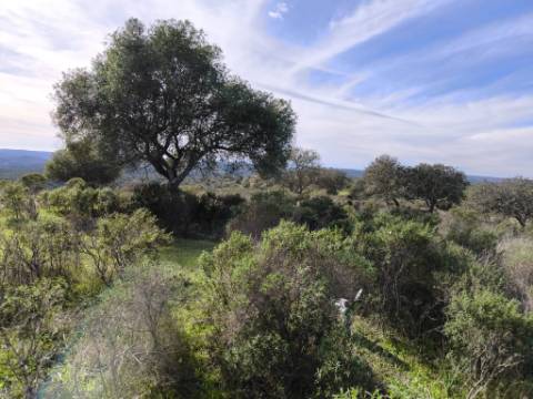 TERRENO RÚSTICO COM 8.880 M² - PLANO - PRÓXIMO À ELETRICIDADE - ODELEITE - CASTRO MARIM - ALGARVE