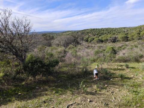 TERRENO RÚSTICO COM 8.880 M² - PLANO - PRÓXIMO À ELETRICIDADE - ODELEITE - CASTRO MARIM - ALGARVE