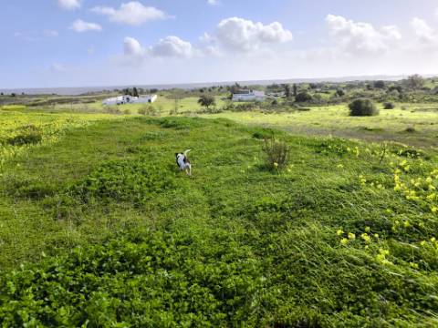 TERRENO COM 4.720 M² - NO CENTRO DO AZINHAL - COM POSSIBILIDADE DE CONSTRUIR DUAS MORADIAS PARA HABITAÇÃO E OU TURISMO - AZINHAL - CASTRO MARIM - ALGARVE