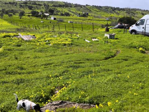TERRENO COM 4.720 M² - NO CENTRO DO AZINHAL - COM POSSIBILIDADE DE CONSTRUIR DUAS MORADIAS PARA HABITAÇÃO E OU TURISMO - AZINHAL - CASTRO MARIM - ALGARVE