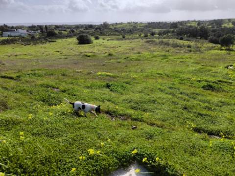 TERRENO COM 4.720 M² - NO CENTRO DO AZINHAL - COM POSSIBILIDADE DE CONSTRUIR DUAS MORADIAS PARA HABITAÇÃO E OU TURISMO - AZINHAL - CASTRO MARIM - ALGARVE
