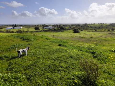 TERRENO COM 4.720 M² - NO CENTRO DO AZINHAL - COM POSSIBILIDADE DE CONSTRUIR DUAS MORADIAS PARA HABITAÇÃO E OU TURISMO - AZINHAL - CASTRO MARIM - ALGARVE