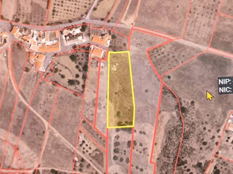 TERRENO COM 4.720 M² - NO CENTRO DO AZINHAL - COM POSSIBILIDADE DE CONSTRUIR DUAS MORADIAS PARA HABITAÇÃO E OU TURISMO - AZINHAL - CASTRO MARIM - ALGARVE