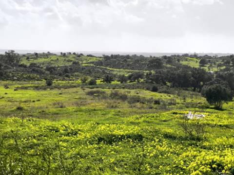 TERRENO COM 4.720 M² - NO CENTRO DO AZINHAL - COM POSSIBILIDADE DE CONSTRUIR DUAS MORADIAS PARA HABITAÇÃO E OU TURISMO - AZINHAL - CASTRO MARIM - ALGARVE