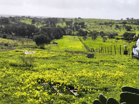 TERRENO COM 4.720 M² - NO CENTRO DO AZINHAL - COM POSSIBILIDADE DE CONSTRUIR DUAS MORADIAS PARA HABITAÇÃO E OU TURISMO - AZINHAL - CASTRO MARIM - ALGARVE