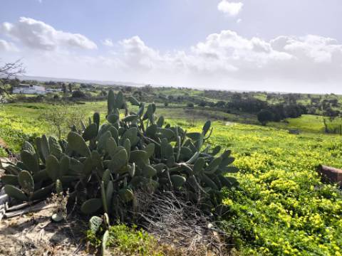 TERRENO COM 4.720 M² - NO CENTRO DO AZINHAL - COM POSSIBILIDADE DE CONSTRUIR DUAS MORADIAS PARA HABITAÇÃO E OU TURISMO - AZINHAL - CASTRO MARIM - ALGARVE