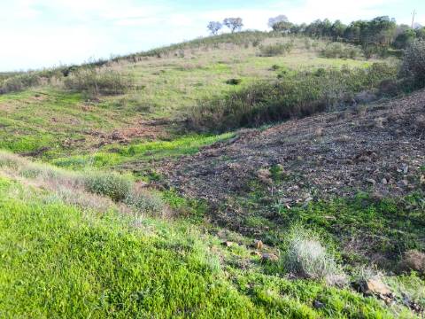 TERRENO RÚSTICO COM 10.160 M² - ACESSO POR ASFALTO - PRÓXIMO A ALDEIA DA CORTE DO GAGO EM AZINHAL - CASTRO MARIM - ALGARVE