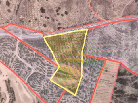 TERRENO RÚSTICO COM 10.160 M² - ACESSO POR ASFALTO - PRÓXIMO A ALDEIA DA CORTE DO GAGO EM AZINHAL - CASTRO MARIM - ALGARVE