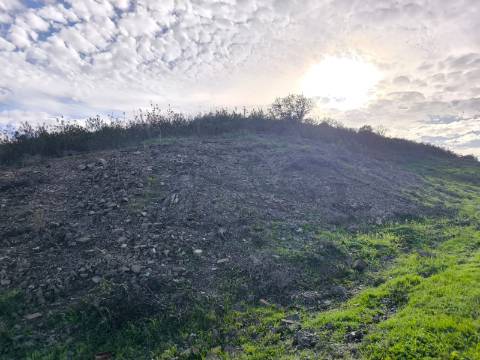 TERRENO RÚSTICO COM 10.160 M² - ACESSO POR ASFALTO - PRÓXIMO A ALDEIA DA CORTE DO GAGO EM AZINHAL - CASTRO MARIM - ALGARVE