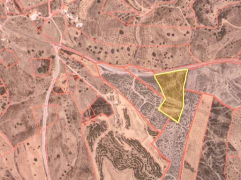 TERRENO RÚSTICO COM 10.160 M² - ACESSO POR ASFALTO - PRÓXIMO A ALDEIA DA CORTE DO GAGO EM AZINHAL - CASTRO MARIM - ALGARVE