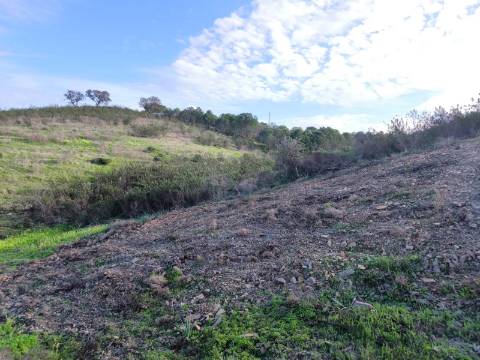 TERRENO RÚSTICO COM 10.160 M² - ACESSO POR ASFALTO - PRÓXIMO A ALDEIA DA CORTE DO GAGO EM AZINHAL - CASTRO MARIM - ALGARVE