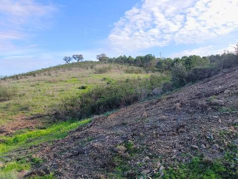 TERRENO RÚSTICO COM 10.160 M² - ACESSO POR ASFALTO - PRÓXIMO A ALDEIA DA CORTE DO GAGO EM AZINHAL - CASTRO MARIM - ALGARVE