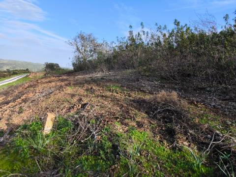 TERRENO RÚSTICO COM 10.160 M² - ACESSO POR ASFALTO - PRÓXIMO A ALDEIA DA CORTE DO GAGO EM AZINHAL - CASTRO MARIM - ALGARVE