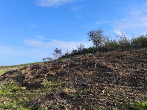 TERRENO RÚSTICO COM 10.160 M² - ACESSO POR ASFALTO - PRÓXIMO A ALDEIA DA CORTE DO GAGO EM AZINHAL - CASTRO MARIM - ALGARVE