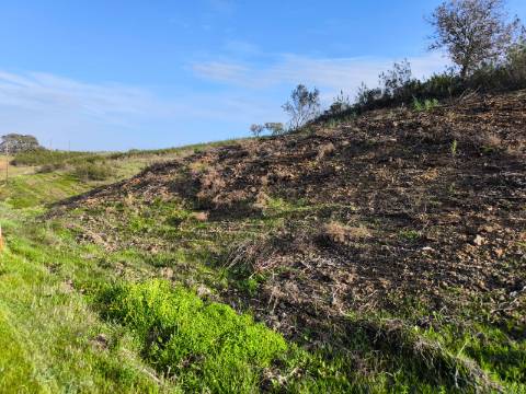 TERRENO RÚSTICO COM 10.160 M² - ACESSO POR ASFALTO - PRÓXIMO A ALDEIA DA CORTE DO GAGO EM AZINHAL - CASTRO MARIM - ALGARVE