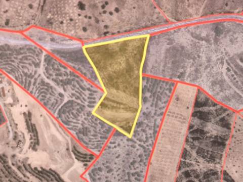 TERRENO RÚSTICO COM 10.160 M² - ACESSO POR ASFALTO - PRÓXIMO A ALDEIA DA CORTE DO GAGO EM AZINHAL - CASTRO MARIM - ALGARVE