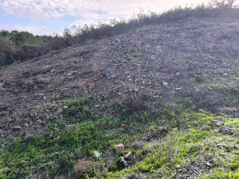 TERRENO RÚSTICO COM 10.160 M² - ACESSO POR ASFALTO - PRÓXIMO A ALDEIA DA CORTE DO GAGO EM AZINHAL - CASTRO MARIM - ALGARVE