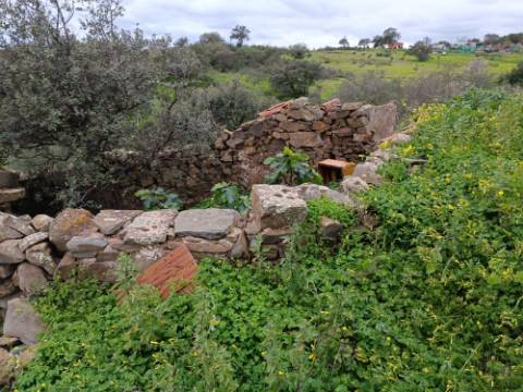 DUAS MORADIAS ISOLADAS - NUM TERRENO DE 1.823 M² - UMA PRONTA A HABITAR - OUTRA PARA REABILITAR OU DEMOLIR - NA ALDEIA DE ALCARIAS GRANDES - AZINHAL - CASTRO MARIM - ALGARVE