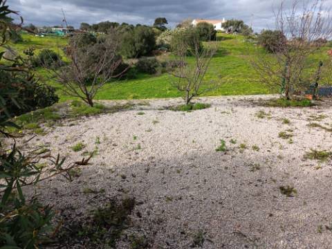 DUAS MORADIAS ISOLADAS - NUM TERRENO DE 1.823 M² - UMA PRONTA A HABITAR - OUTRA PARA REABILITAR OU DEMOLIR - NA ALDEIA DE ALCARIAS GRANDES - AZINHAL - CASTRO MARIM - ALGARVE
