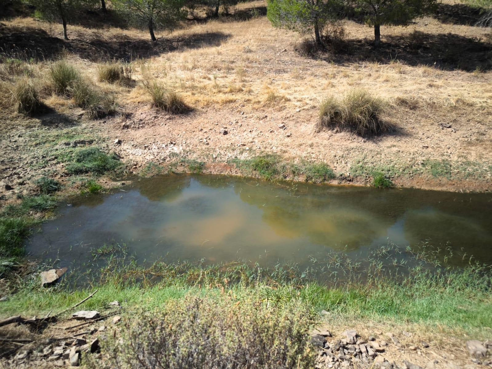 TERRENO COM 11 HECTARES - VISTA MAR - LAGO PRIVADO - EM VALE DAS ZORRAS - CASTRO MARIM - ALGARVE