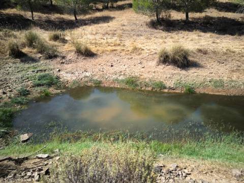 TERRENO COM 11 HECTARES - VISTA MAR - LAGO PRIVADO - EM VALE DAS ZORRAS - CASTRO MARIM - ALGARVE