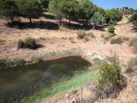 TERRENO COM 11 HECTARES - VISTA MAR - LAGO PRIVADO - EM VALE DAS ZORRAS - CASTRO MARIM - ALGARVE
