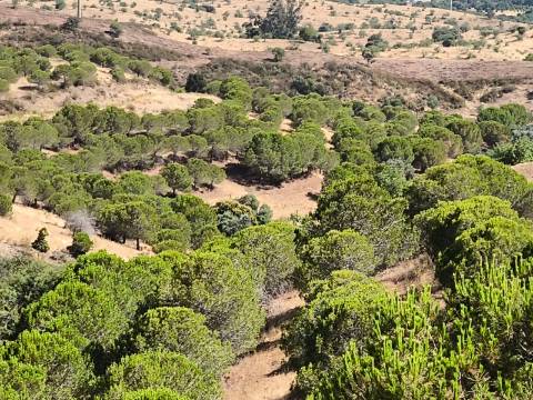TERRENO COM 11 HECTARES - VISTA MAR - LAGO PRIVADO - EM VALE DAS ZORRAS - CASTRO MARIM - ALGARVE
