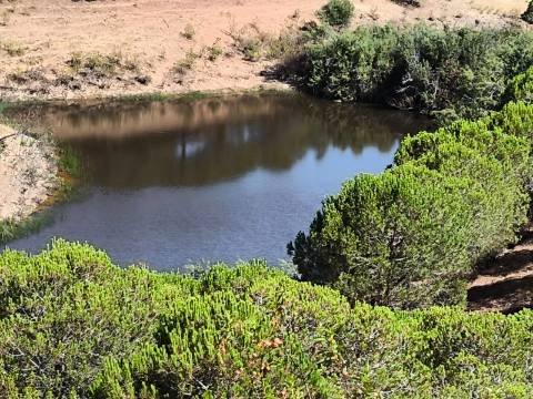 TERRENO COM 11 HECTARES - VISTA MAR - LAGO PRIVADO - EM VALE DAS ZORRAS - CASTRO MARIM - ALGARVE