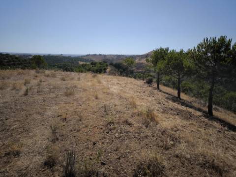 TERRENO COM 11 HECTARES - VISTA MAR - LAGO PRIVADO - EM VALE DAS ZORRAS - CASTRO MARIM - ALGARVE
