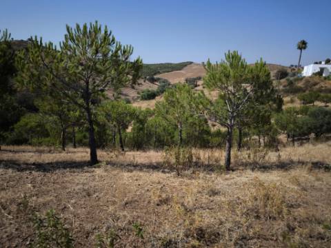 TERRENO COM 11 HECTARES - VISTA MAR - LAGO PRIVADO - EM VALE DAS ZORRAS - CASTRO MARIM - ALGARVE