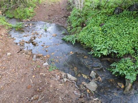 TERRENO RÚSTICO COM 29.400 M² - COM POÇO - LINHA DE ÁGUA - PARTE PLANA - PRÓXIMO A ALDEIA DA CORTE DO GAGO - AZINHAL EM CASTRO MARIM - ALGARVE