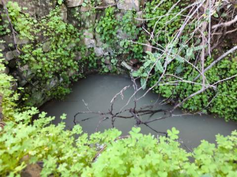 TERRENO RÚSTICO COM 29.400 M² - COM POÇO - LINHA DE ÁGUA - PARTE PLANA - PRÓXIMO A ALDEIA DA CORTE DO GAGO - AZINHAL EM CASTRO MARIM - ALGARVE