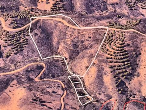 TERRENO RÚSTICO COM 29.400 M² - COM POÇO - LINHA DE ÁGUA - PARTE PLANA - PRÓXIMO A ALDEIA DA CORTE DO GAGO - AZINHAL EM CASTRO MARIM - ALGARVE