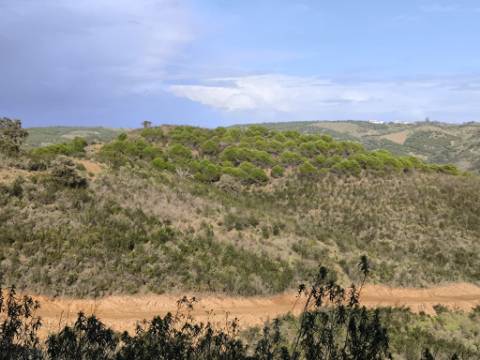 TERRENO RÚSTICO COM 29.400 M² - COM POÇO - LINHA DE ÁGUA - PARTE PLANA - PRÓXIMO A ALDEIA DA CORTE DO GAGO - AZINHAL EM CASTRO MARIM - ALGARVE
